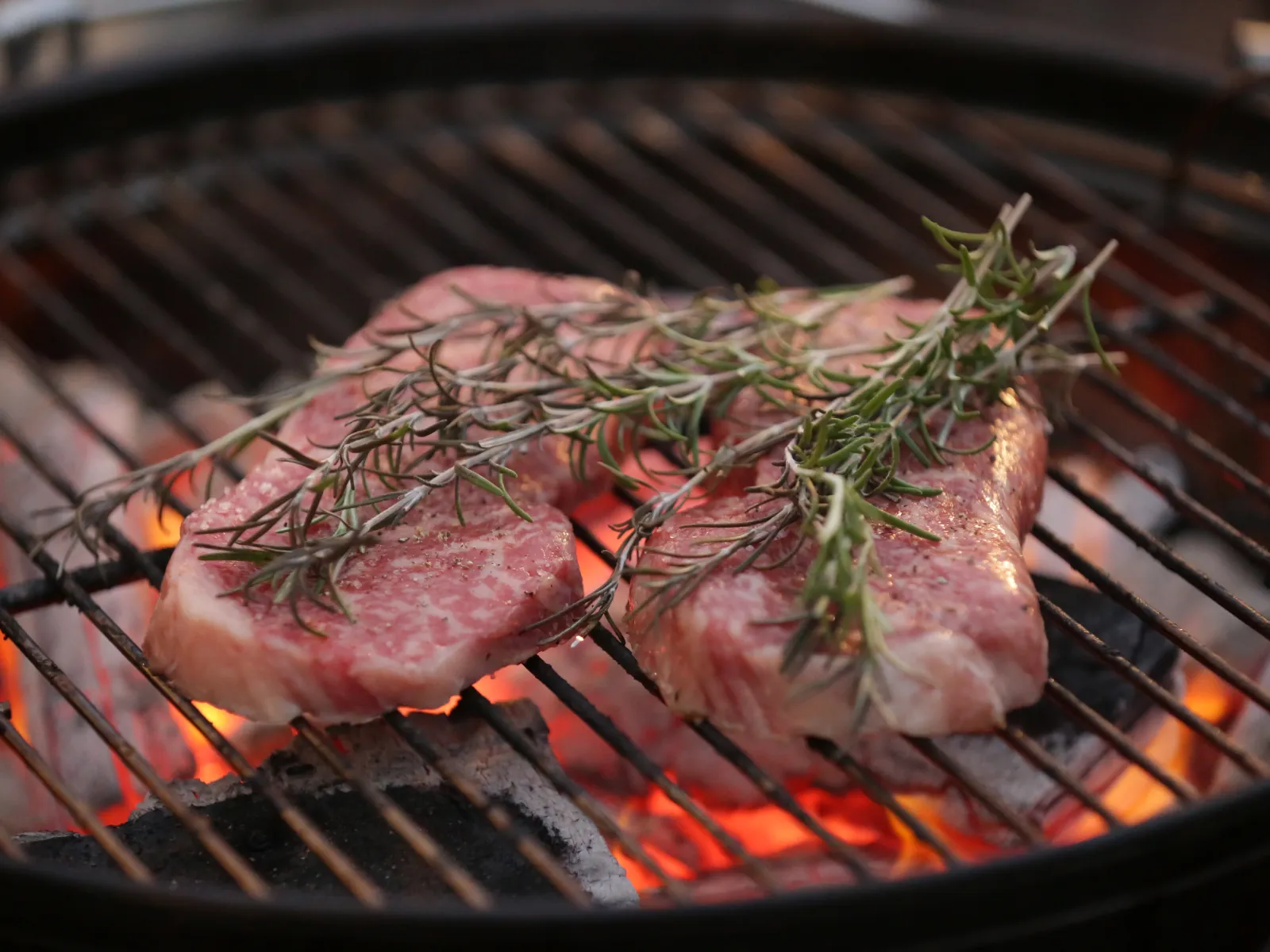 メニューギャラリー03