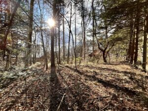 南ヶ丘 南原通り西　229坪の土地
