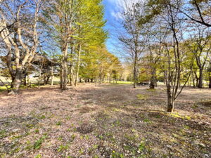 中軽井沢カントリークラブ至近　585坪の土地