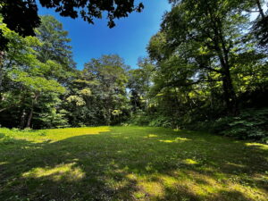 千ヶ滝西区 674坪の整形地