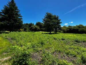 御代田ヴィレッジ 分譲地 76坪〜184坪