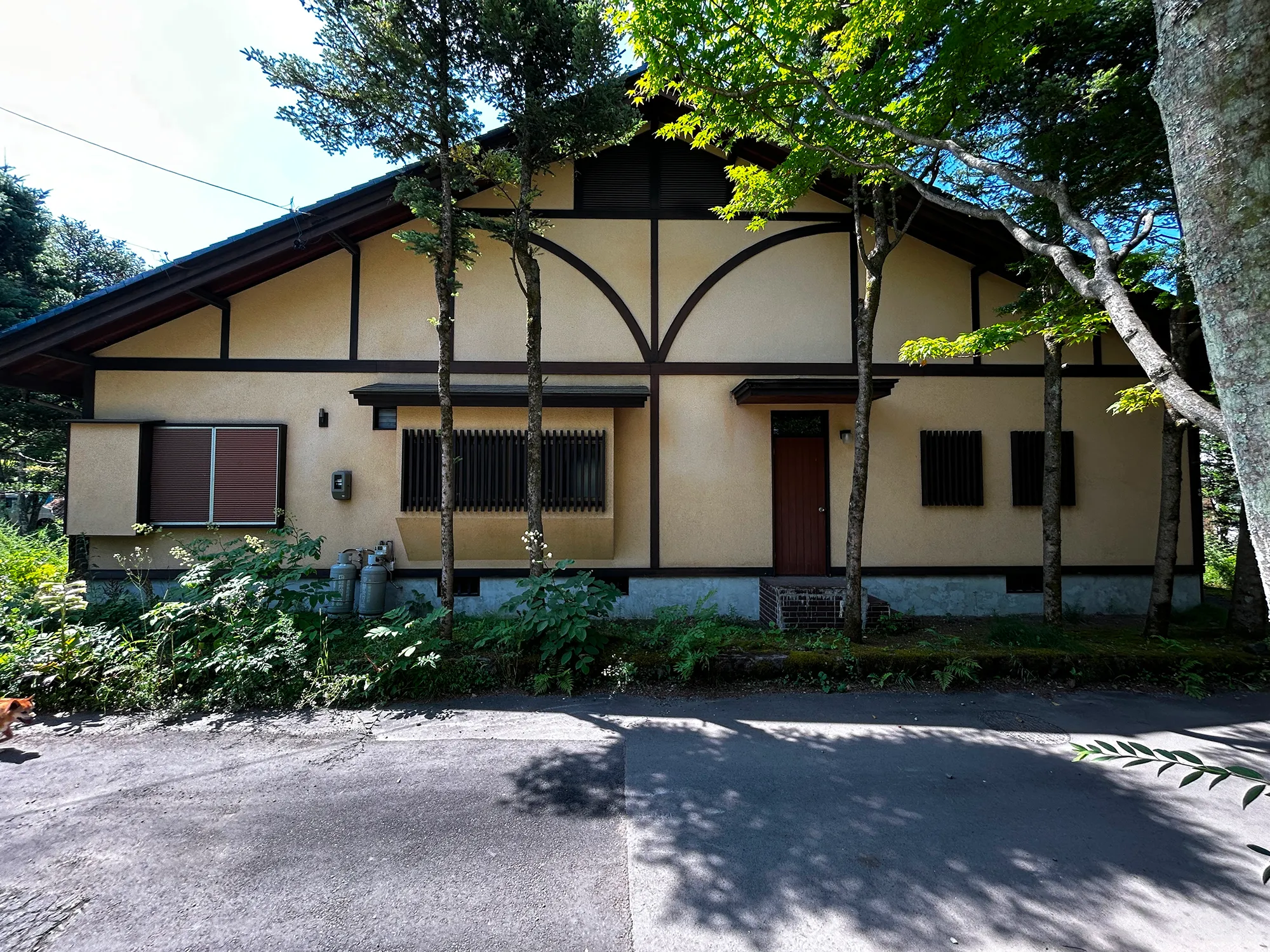 中軽井沢 湯川ふるさと公園近隣 109坪
