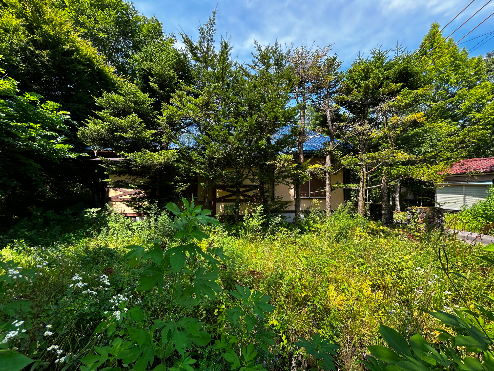 中軽井沢 湯川ふるさと公園近隣 109坪