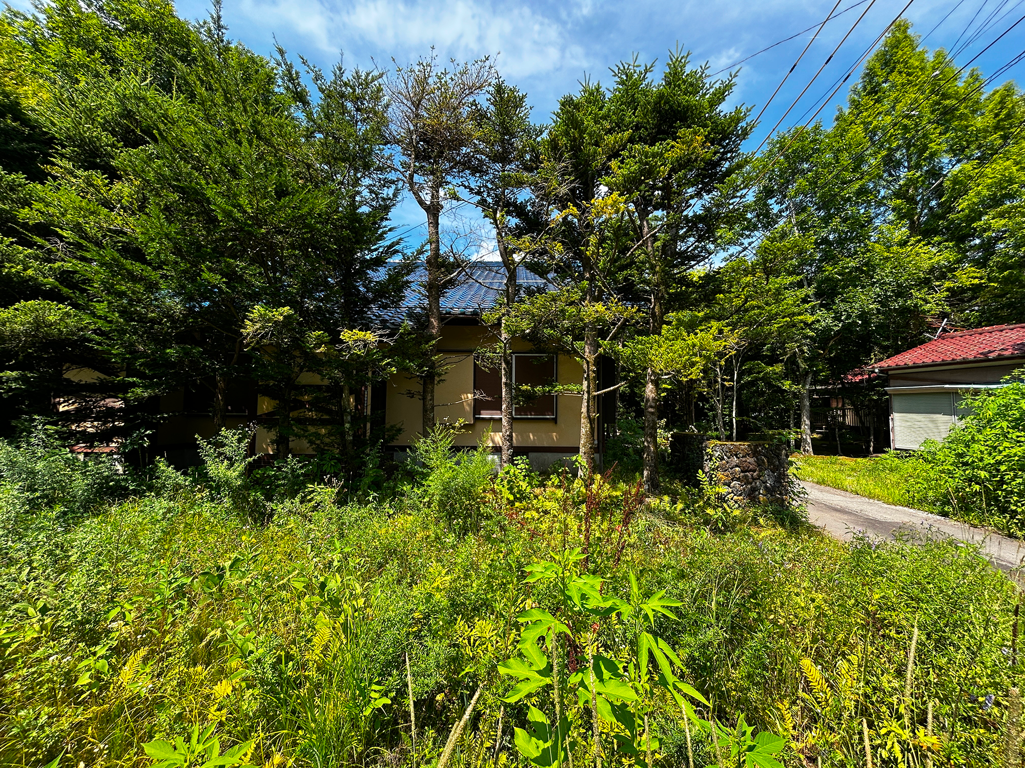 中軽井沢 湯川ふるさと公園近隣 109坪