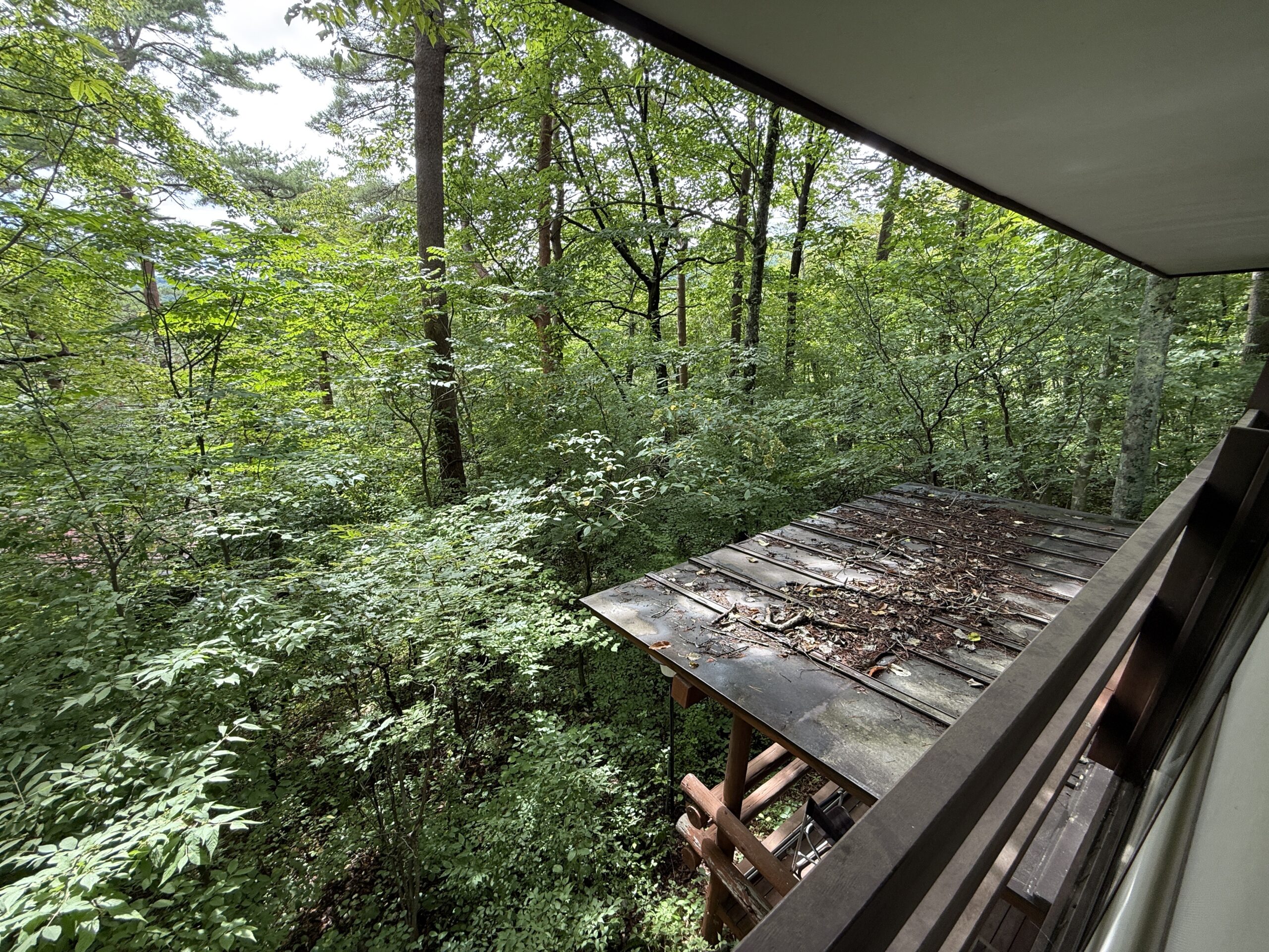 山の手区自然豊かな古家あり