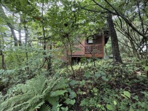 山の手区自然豊かな古家あり