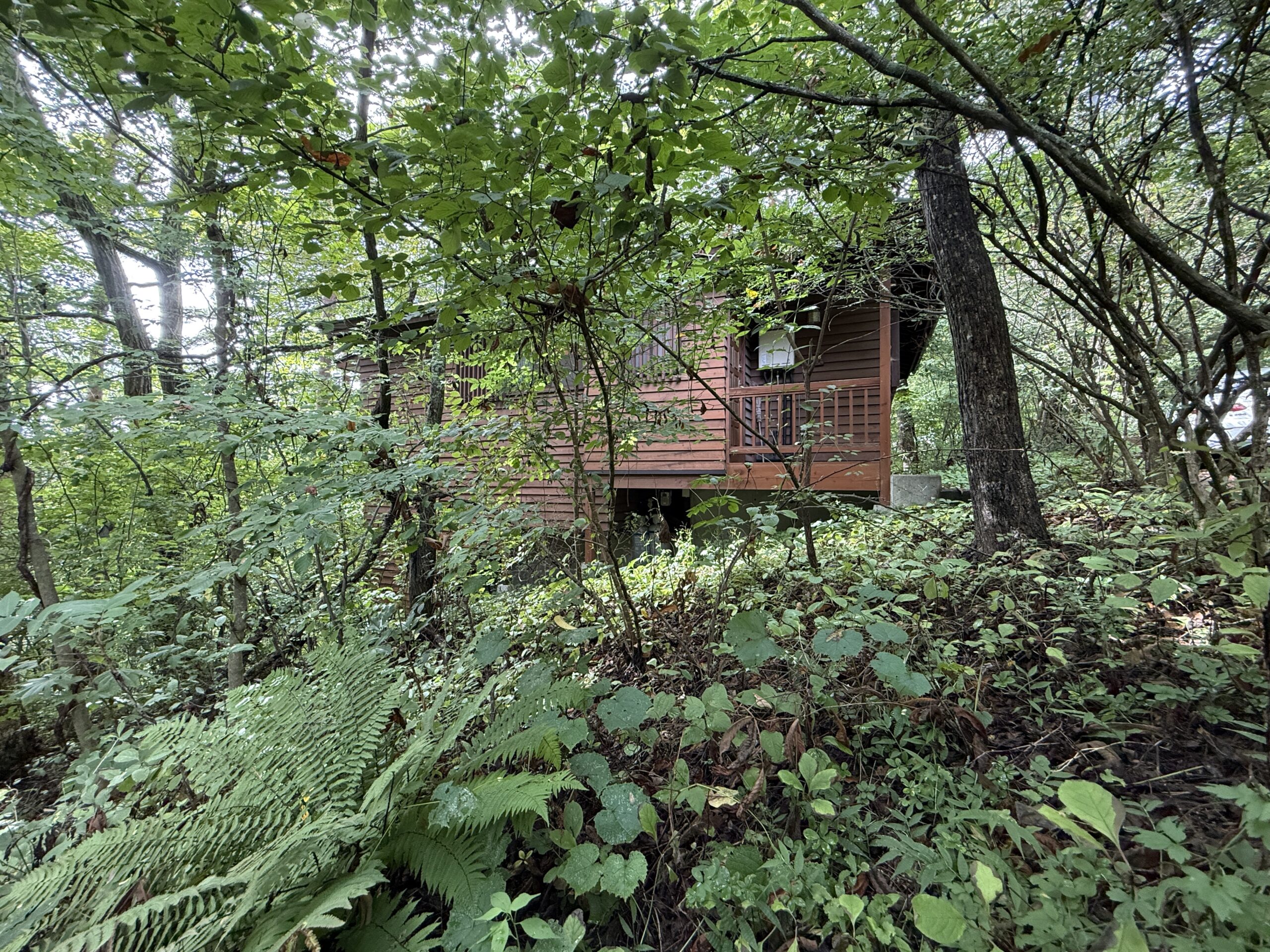 山の手区自然豊かな古家あり