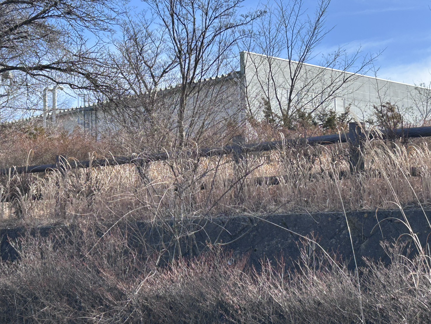 御代田　8427.68坪