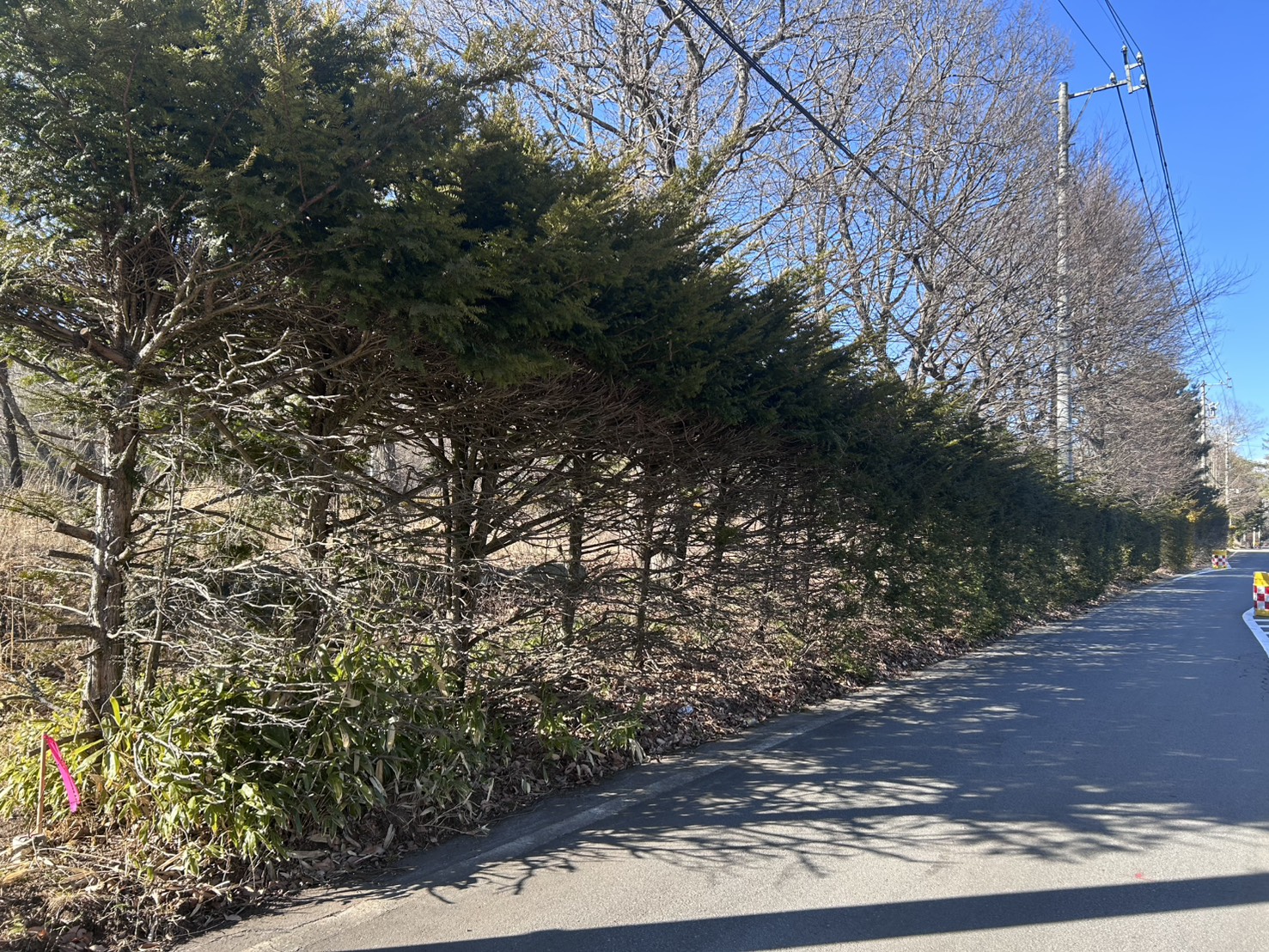 軽井沢追分土地1257坪