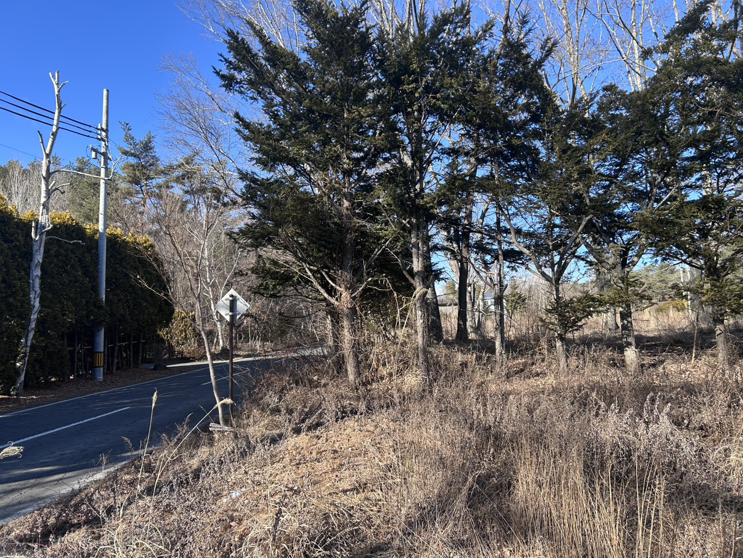 軽井沢追分土地1257坪