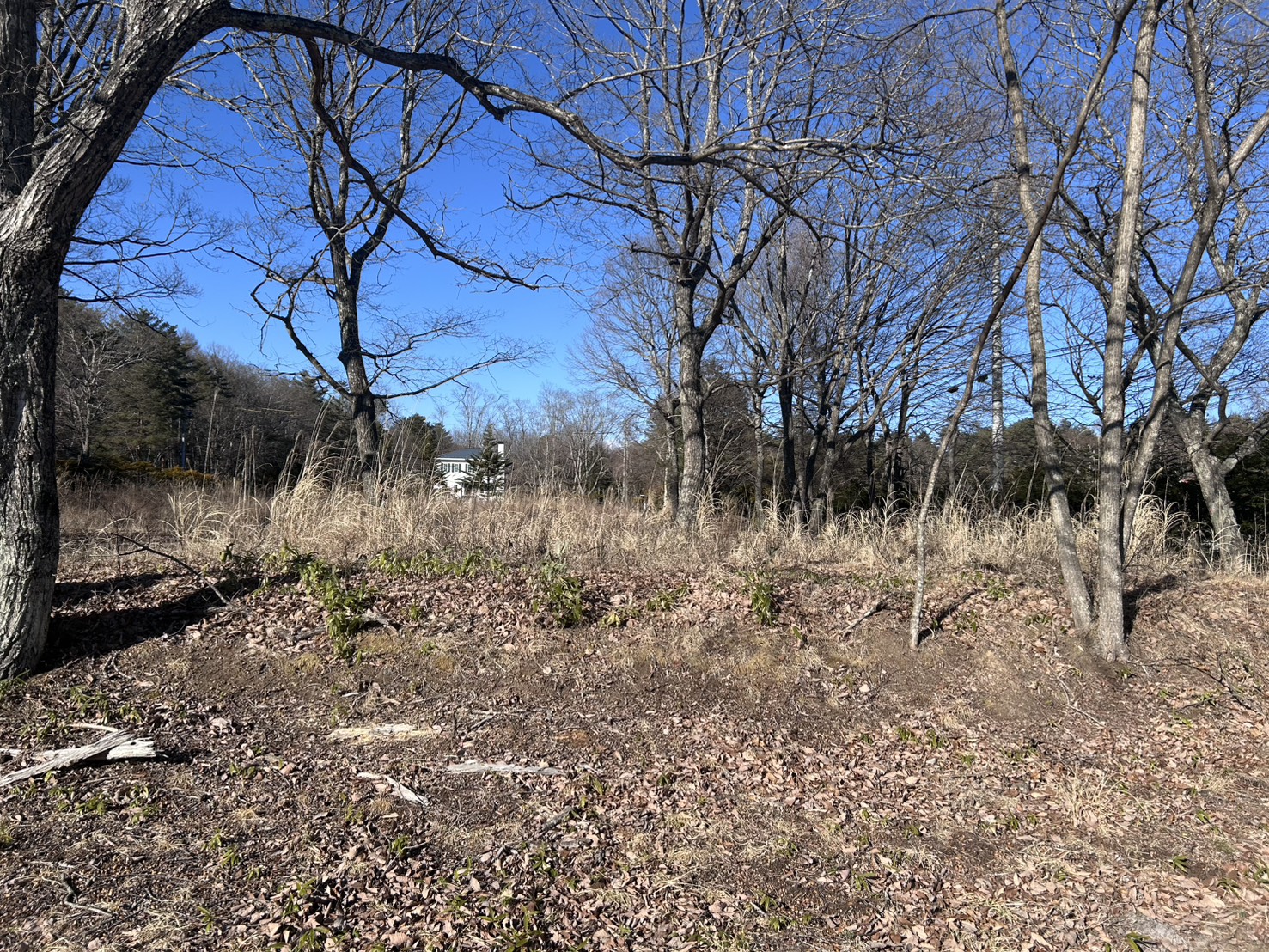 軽井沢追分土地1257坪