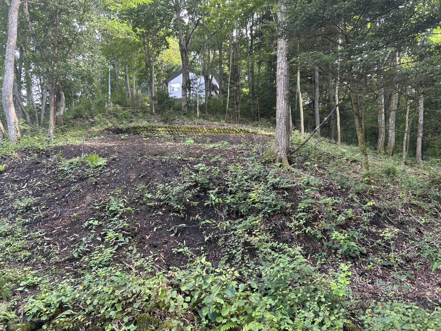 小倉の里 土地