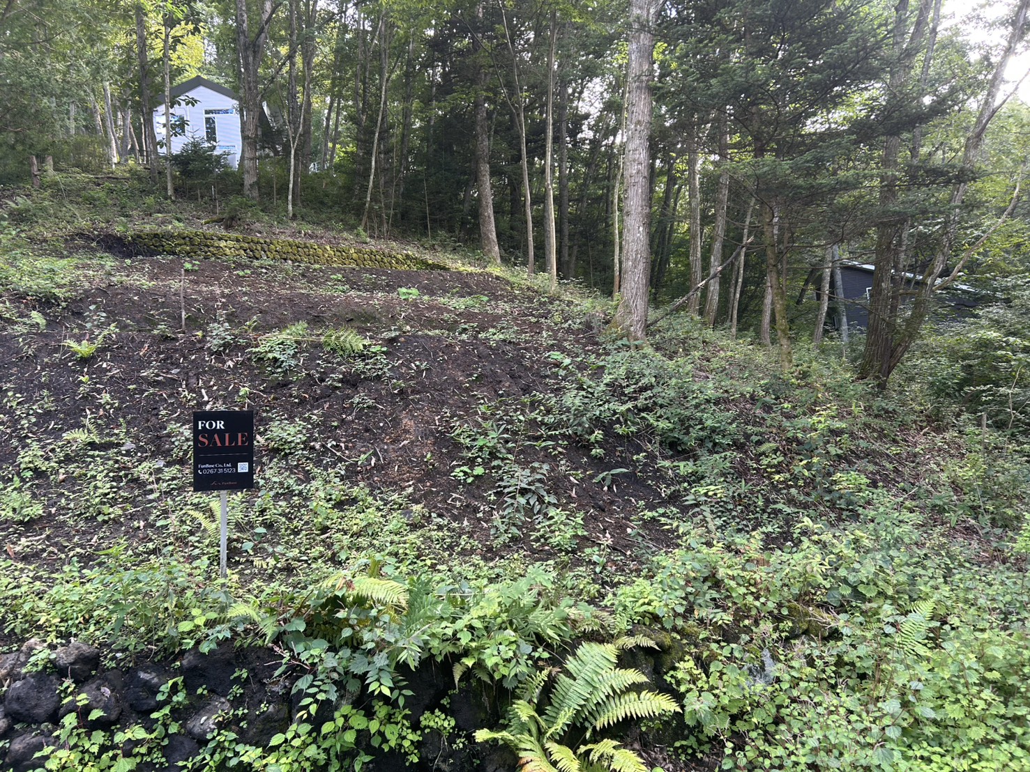小倉の里 土地