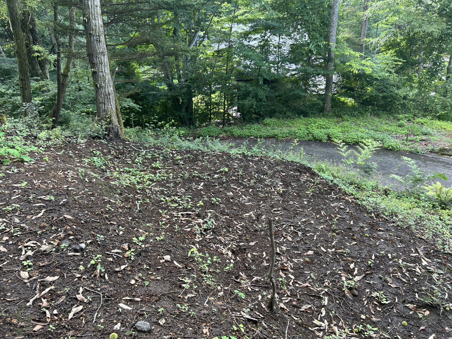小倉の里 土地