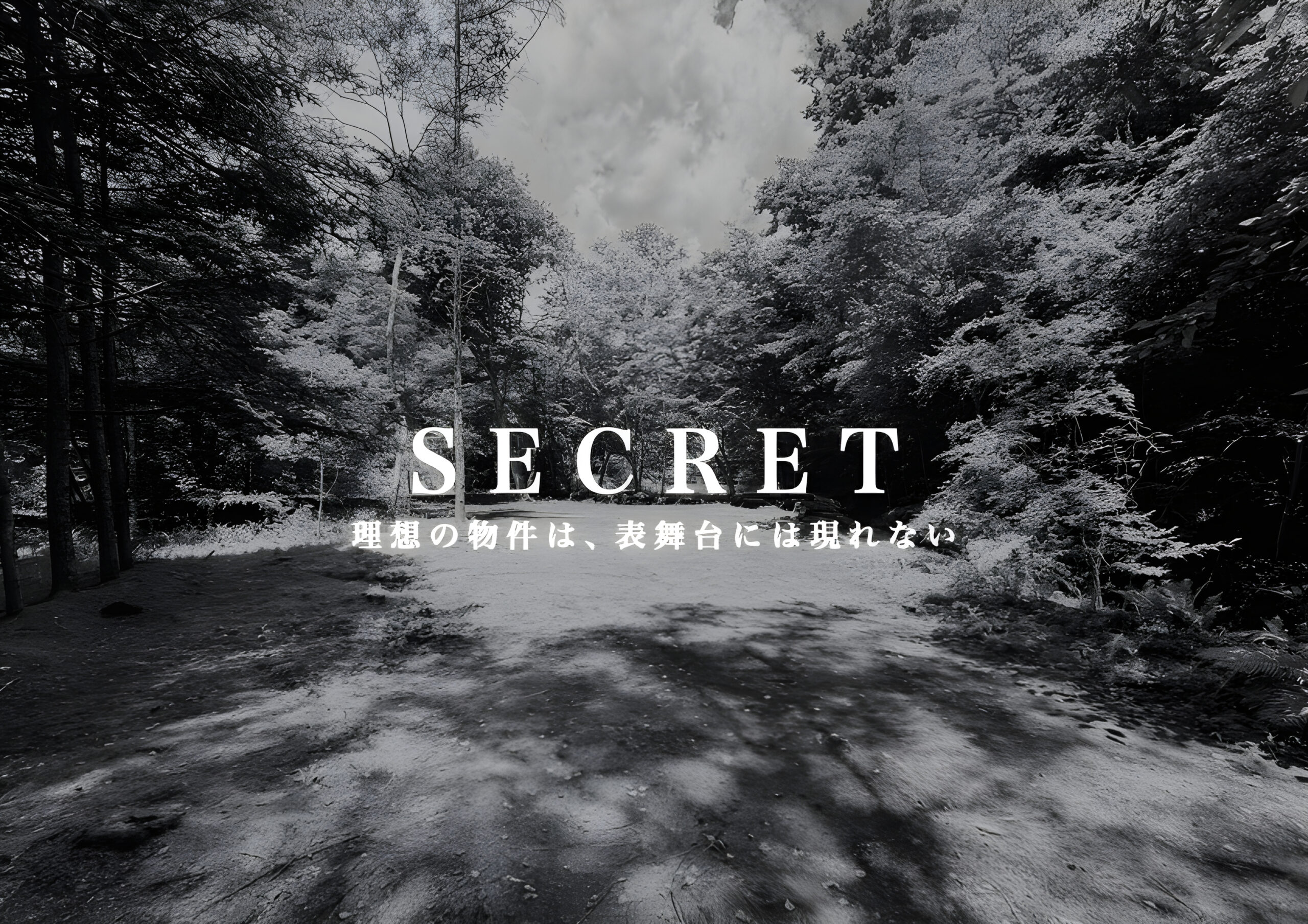 【非公開】南ヶ丘 土地