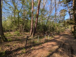 追分宿　468坪の土地