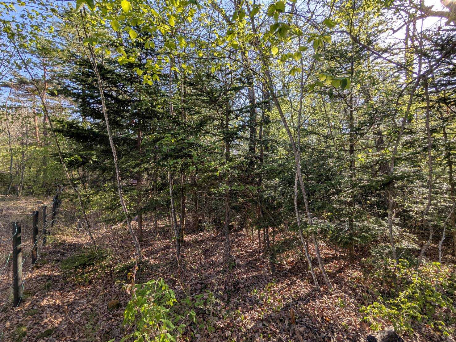 追分宿　468坪の土地