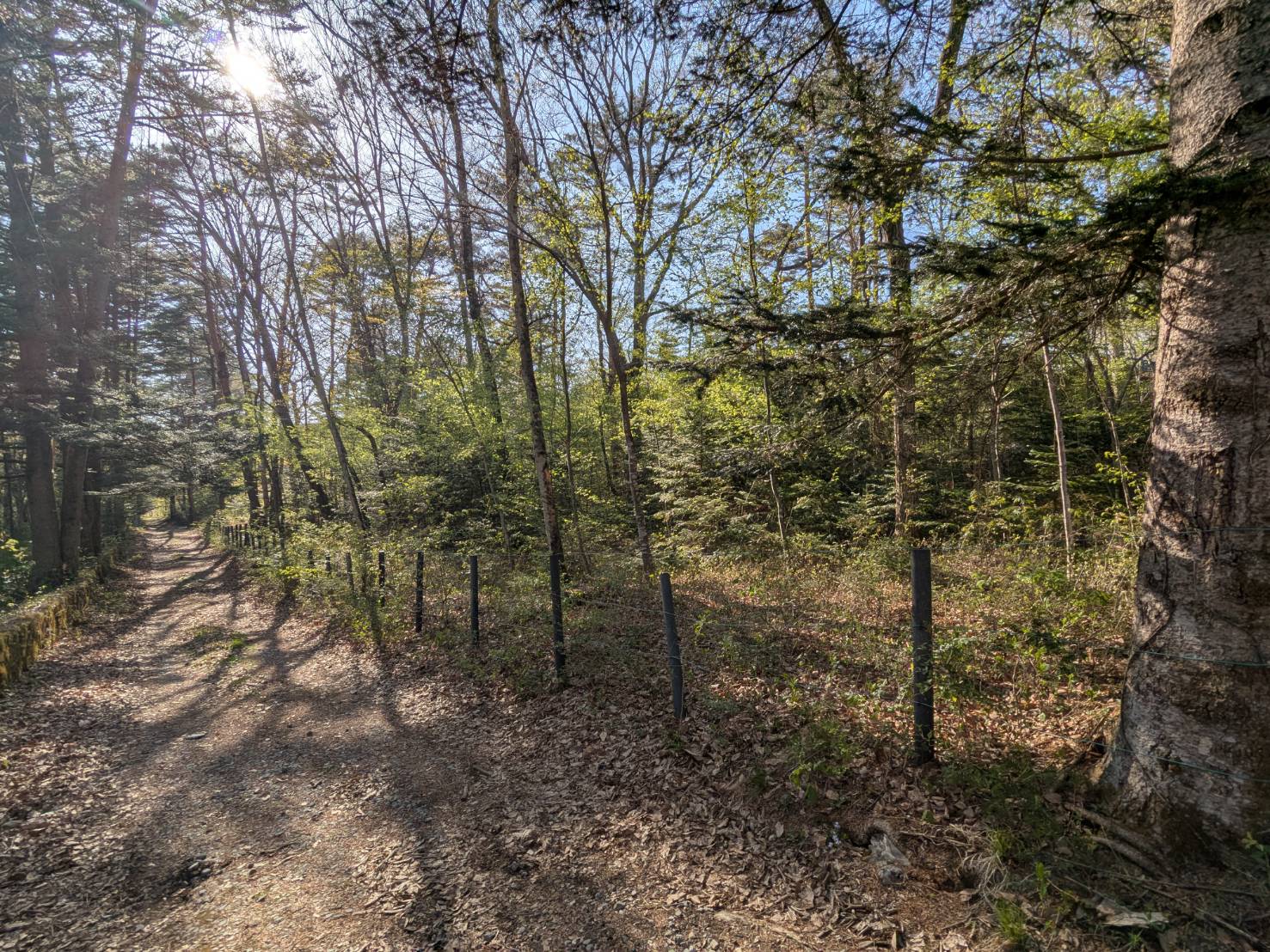 追分宿　468坪の土地