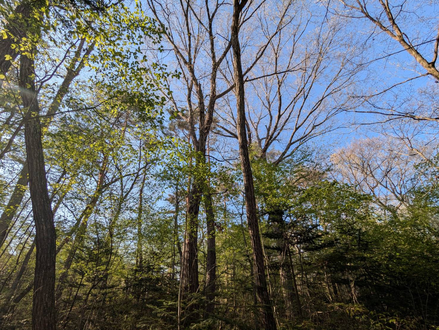 追分宿　468坪の土地