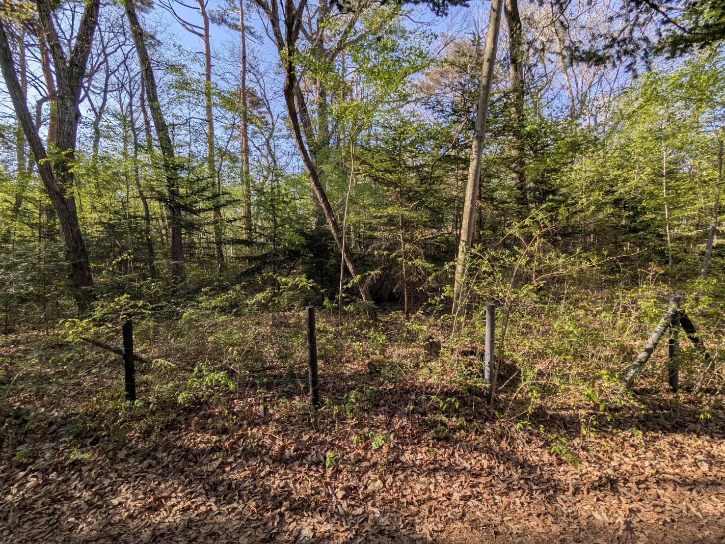 追分宿　468坪の土地