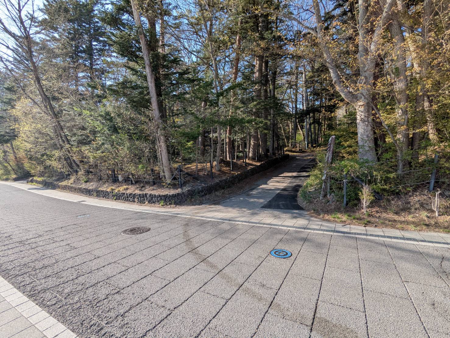 追分宿　468坪の土地