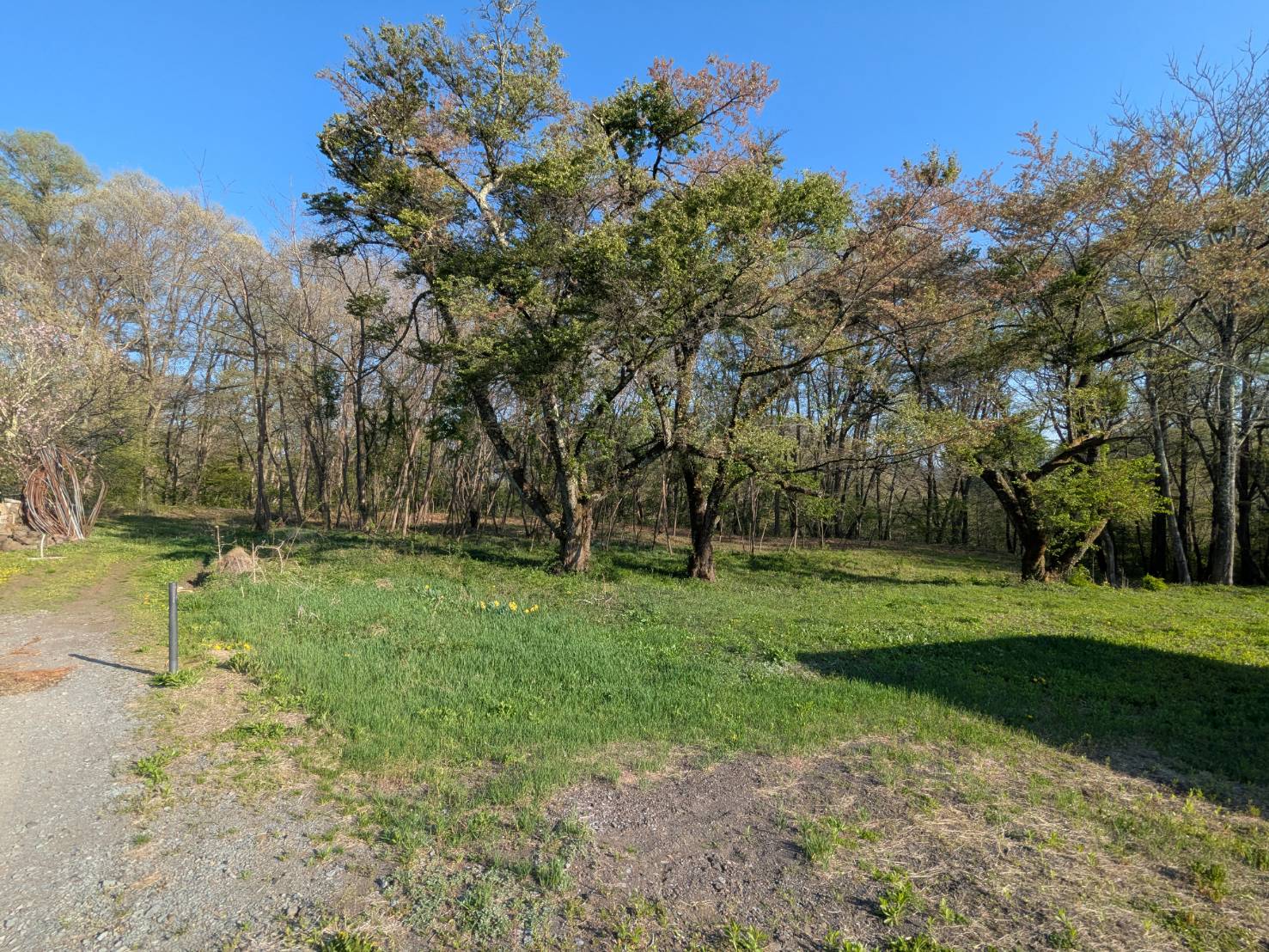 御代田山ノ神　1,341坪の土地
