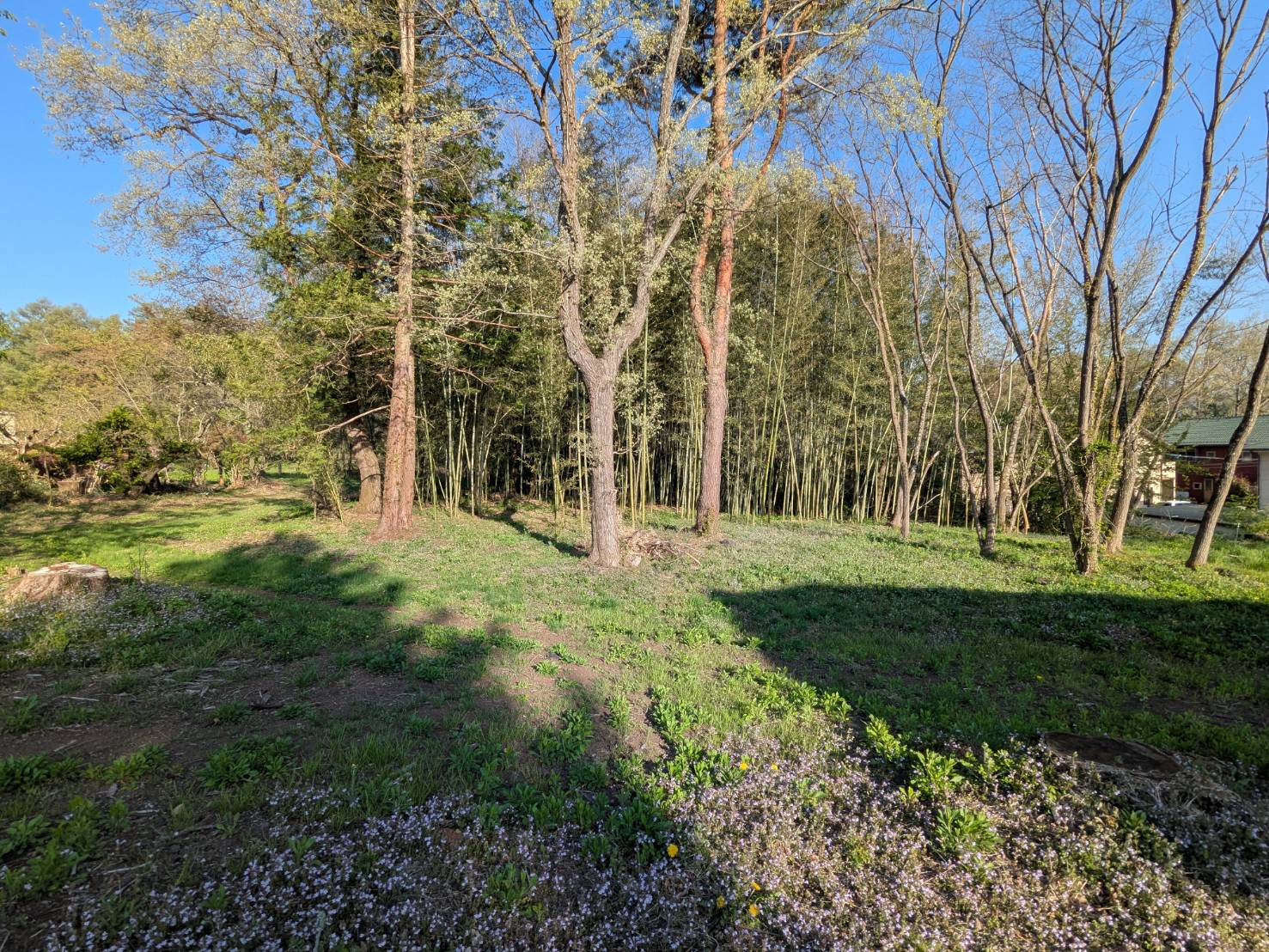 御代田山ノ神　1,341坪の土地
