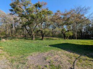 御代田山ノ神　1,341坪の土地