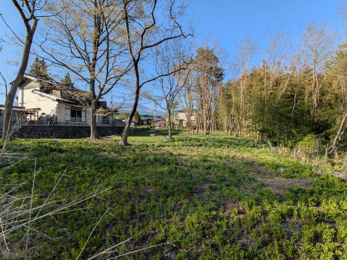 御代田山ノ神　1,341坪の土地