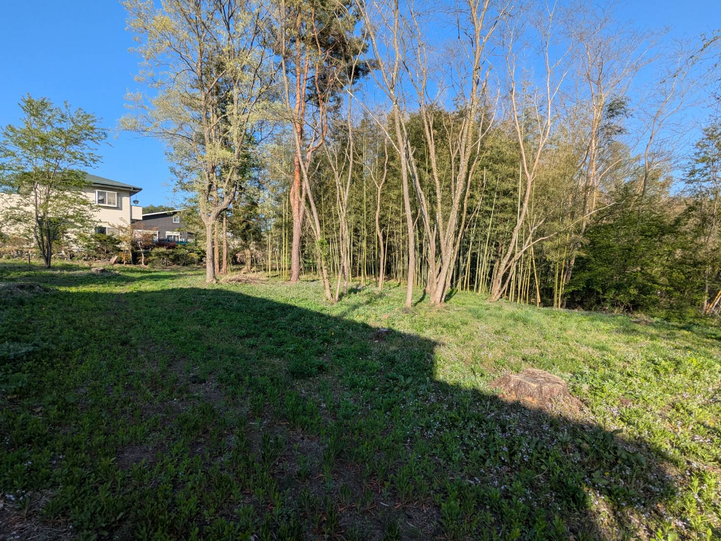 御代田山ノ神　1,341坪の土地