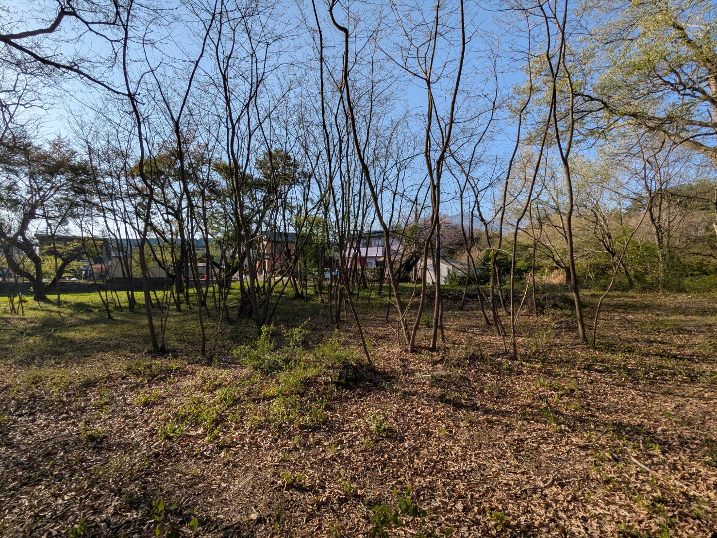 御代田山ノ神　1,341坪の土地