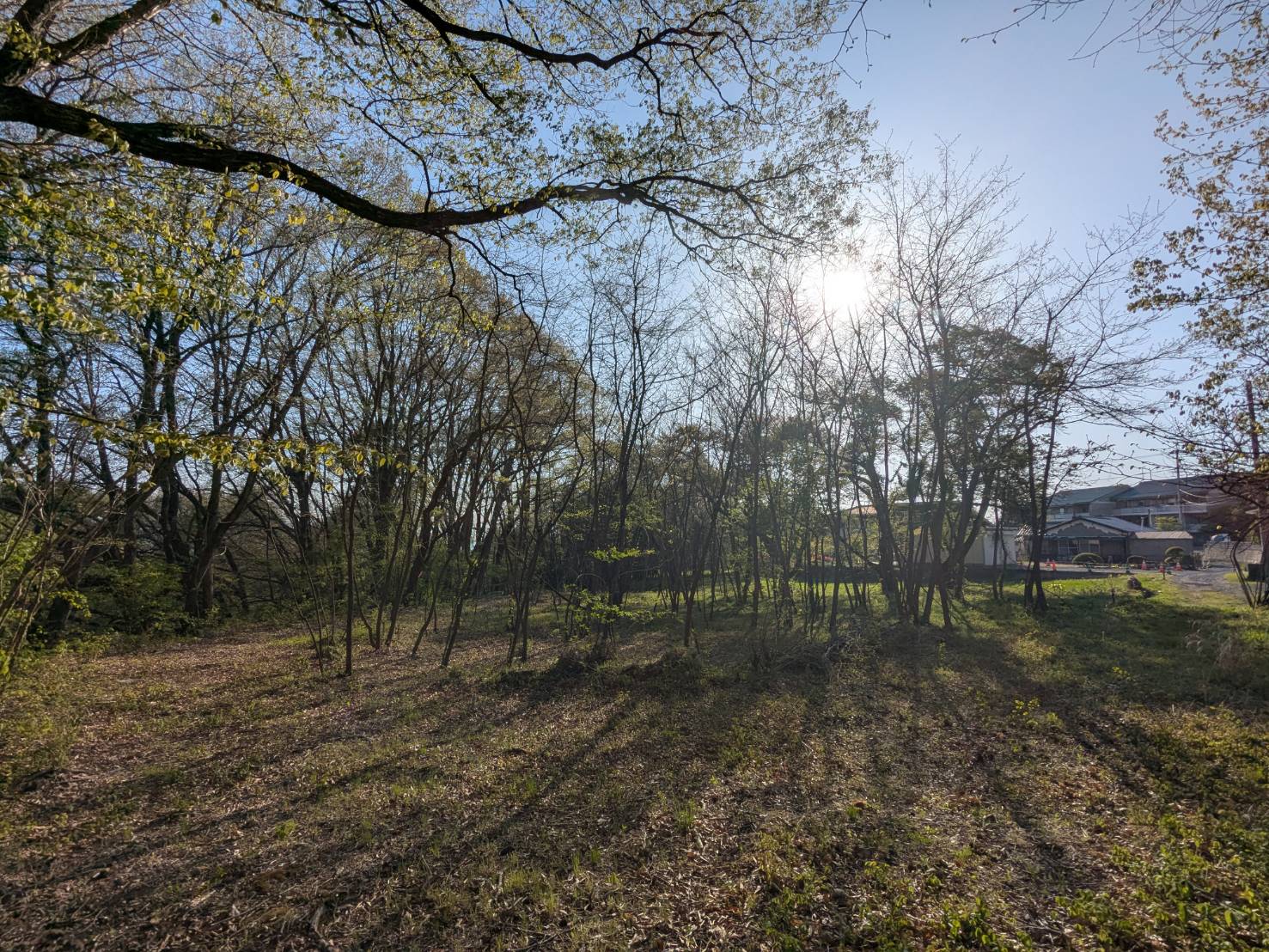 御代田山ノ神　1,341坪の土地