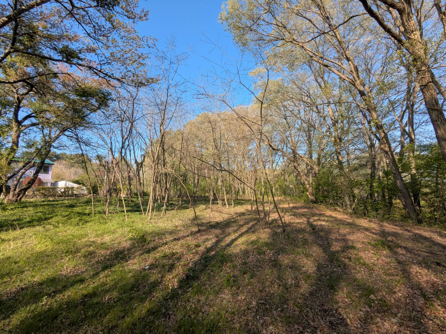 御代田山ノ神　1,341坪の土地