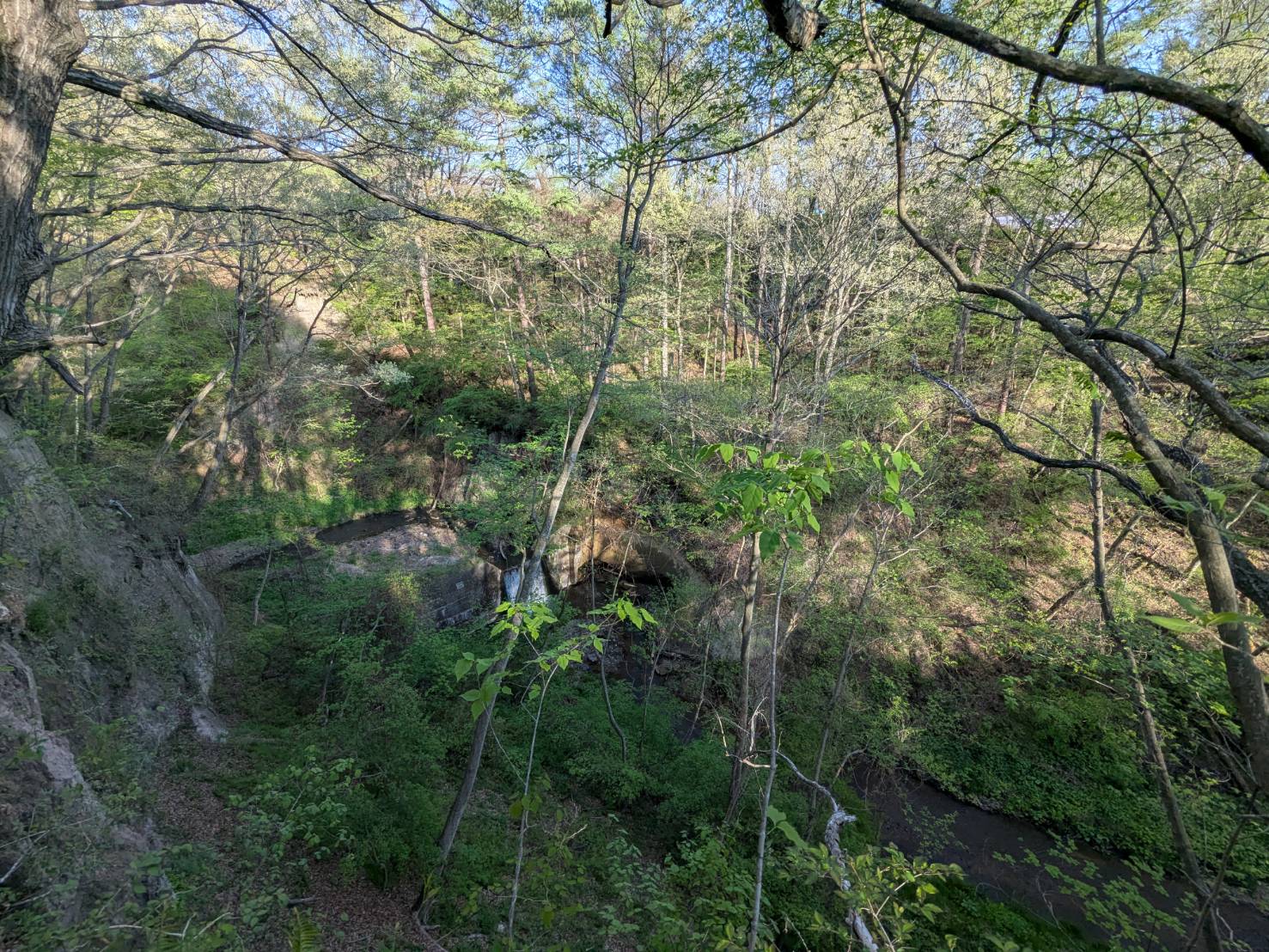 御代田山ノ神　1,341坪の土地