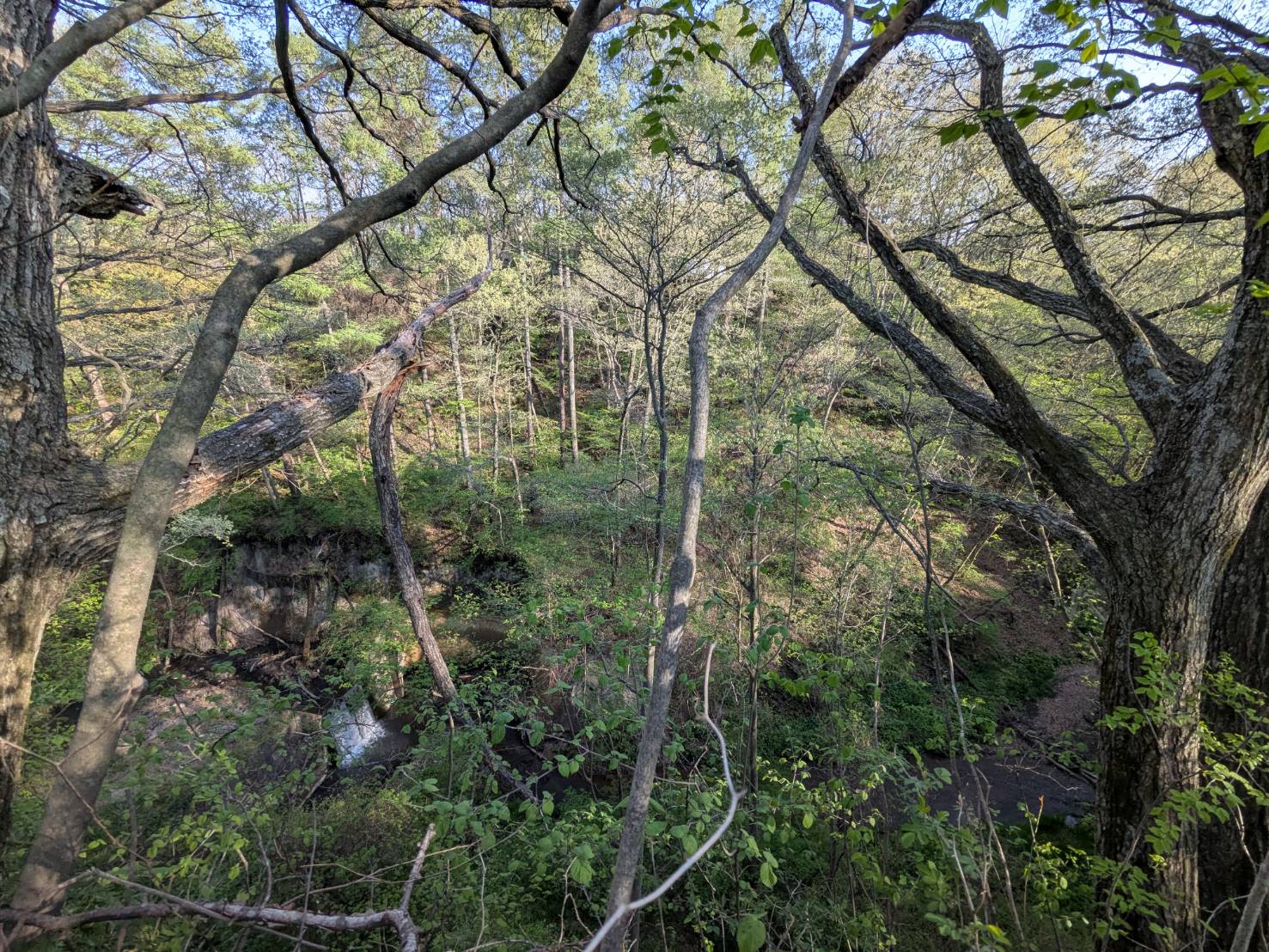 御代田山ノ神　1,341坪の土地
