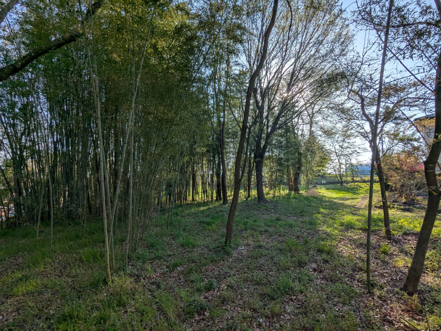 御代田山ノ神　1,341坪の土地