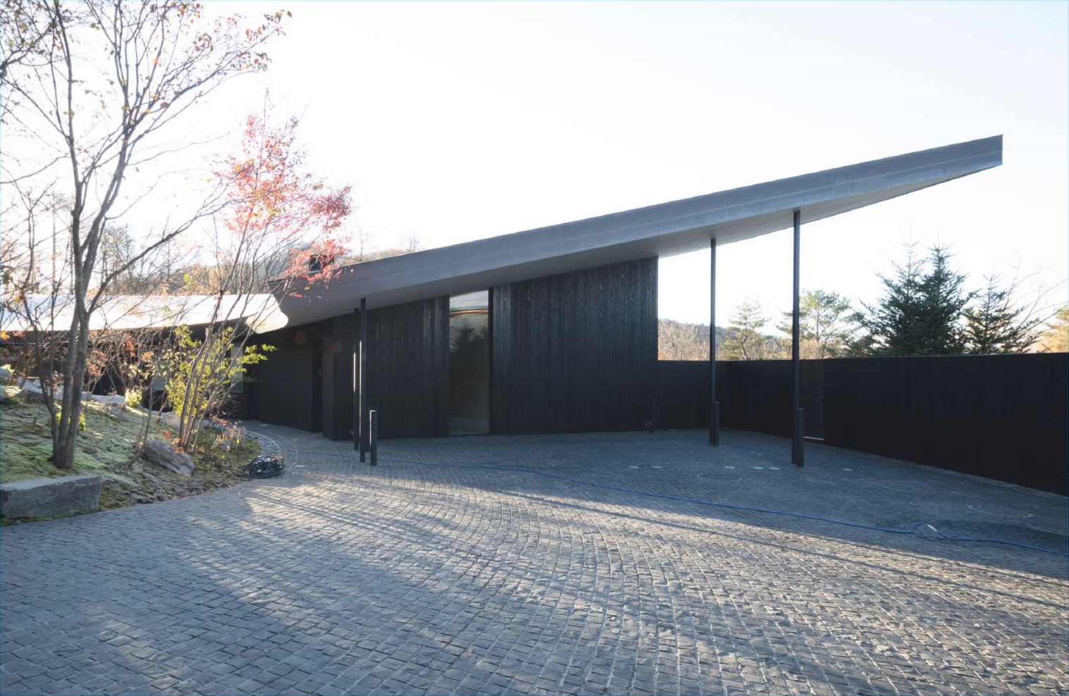 ブランシャールの森　967坪