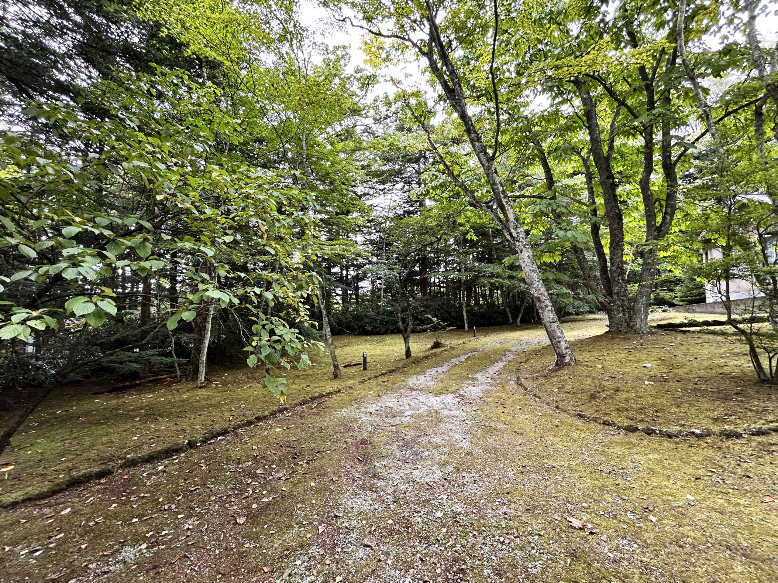 軽井沢千ヶ滝セミナーハウス　941坪の土地付き建物