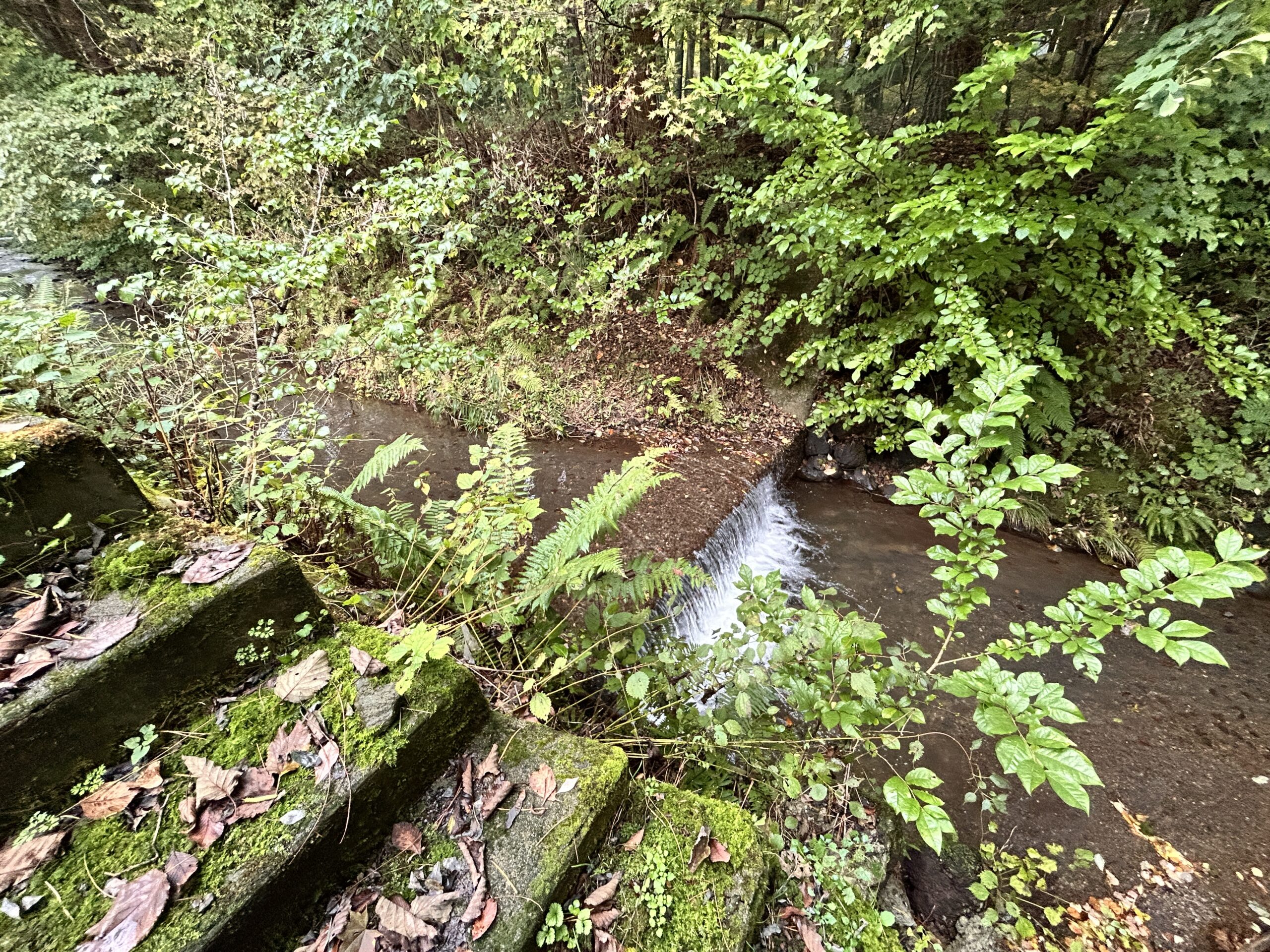 【商談中】鹿島の森　182坪の土地