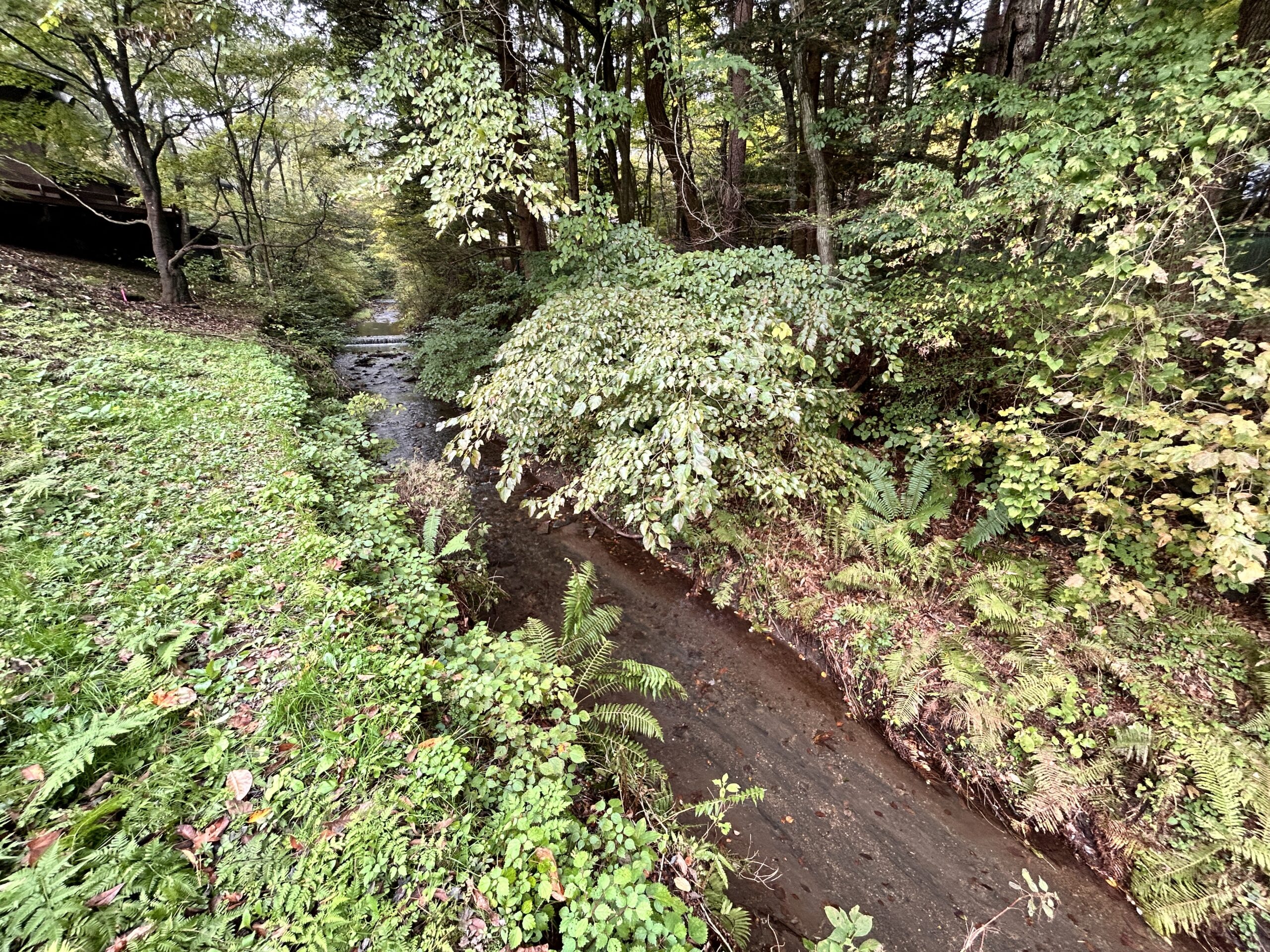 【商談中】鹿島の森　182坪の土地