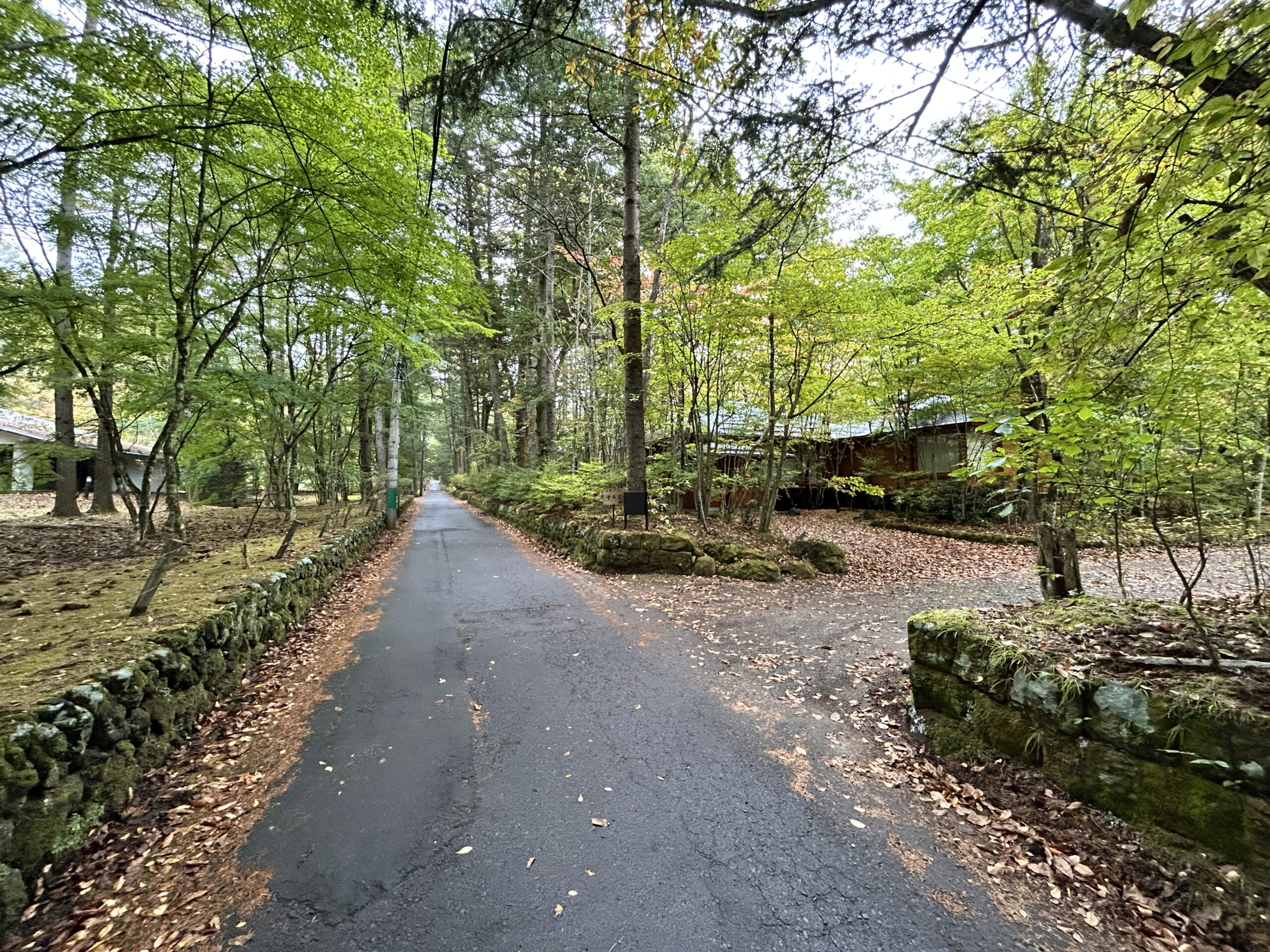 【商談中】鹿島の森　182坪の土地