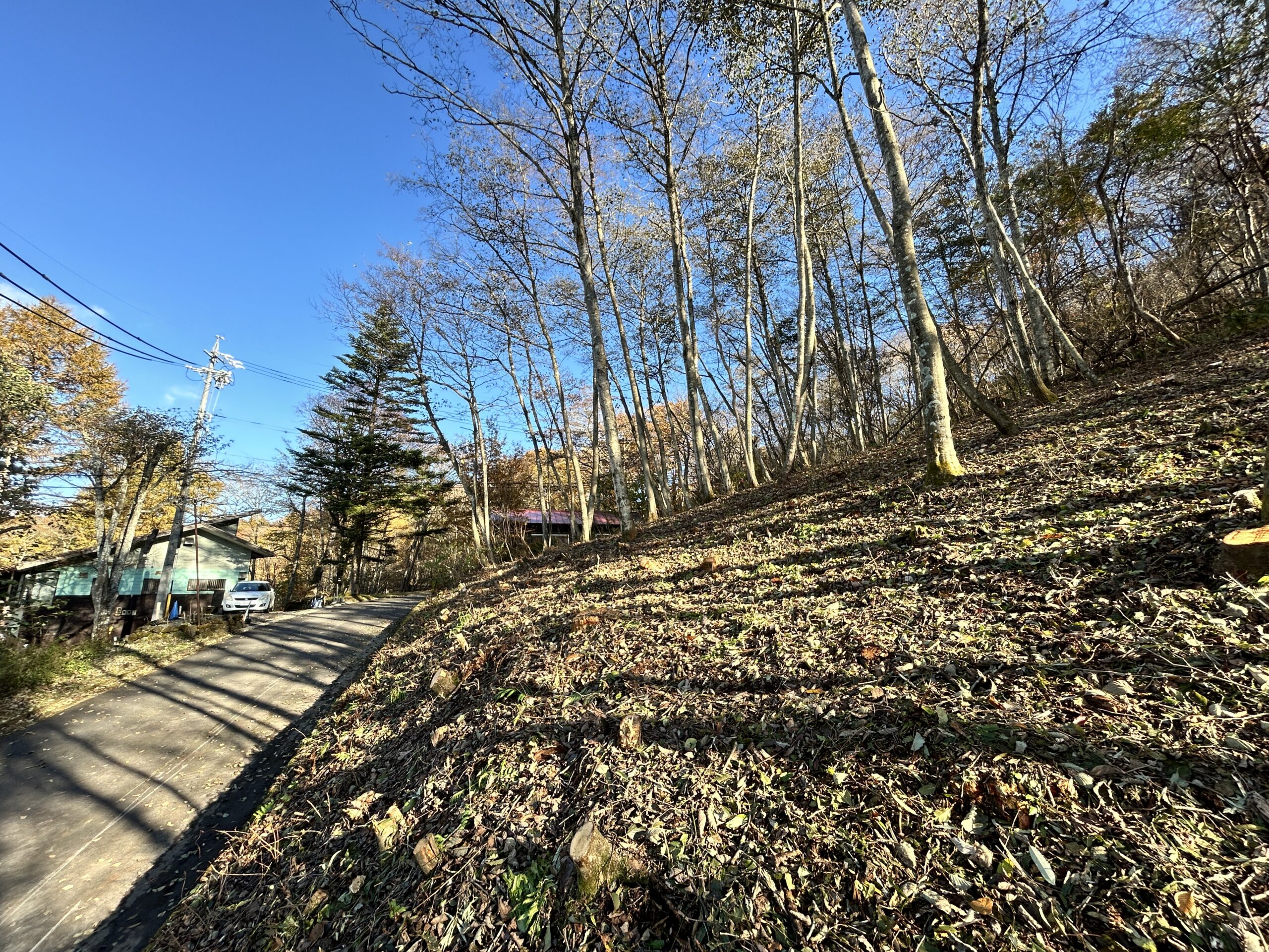 中軽井沢　浅間を望む208坪の土地