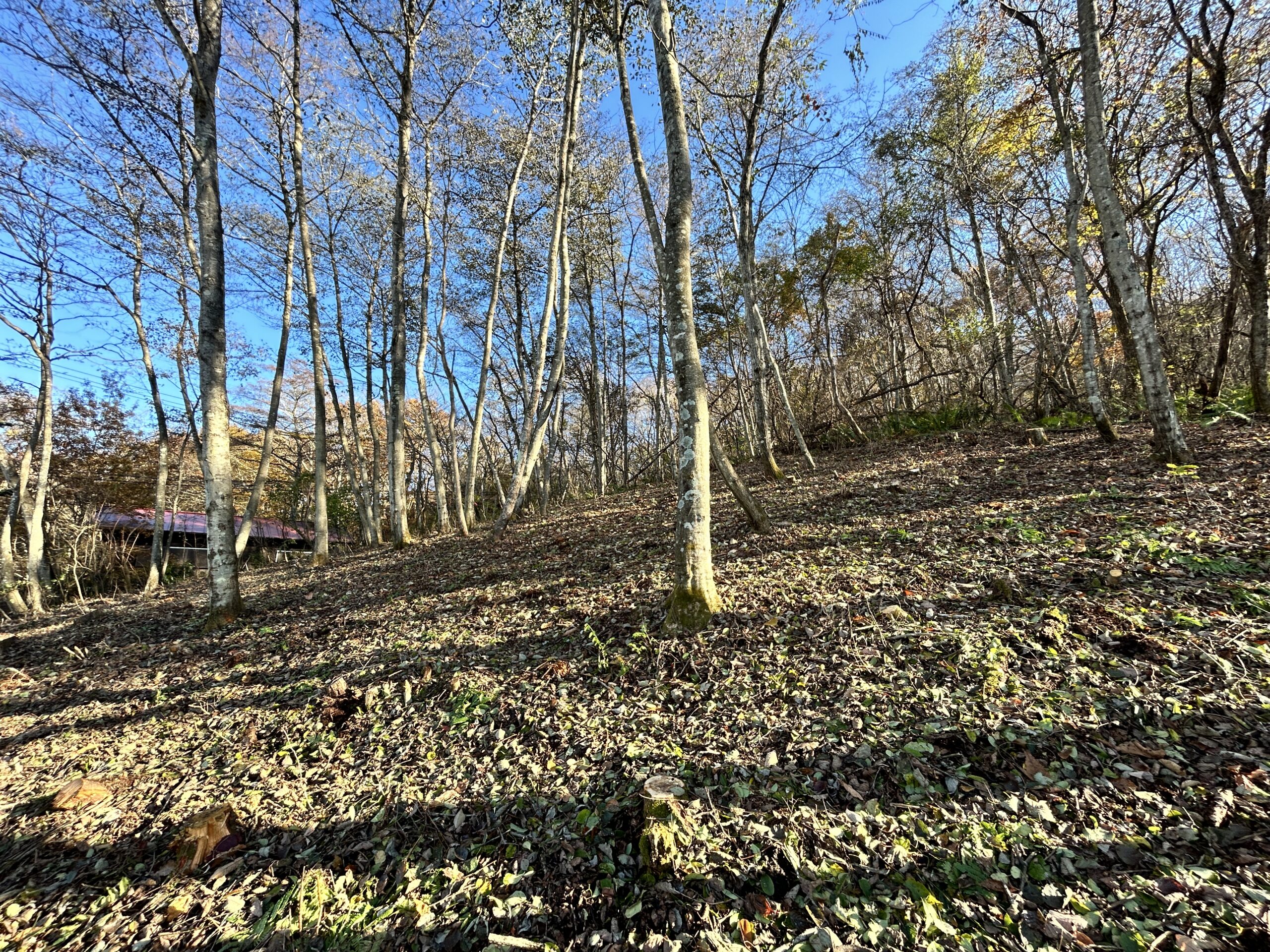 中軽井沢　浅間を望む208坪の土地