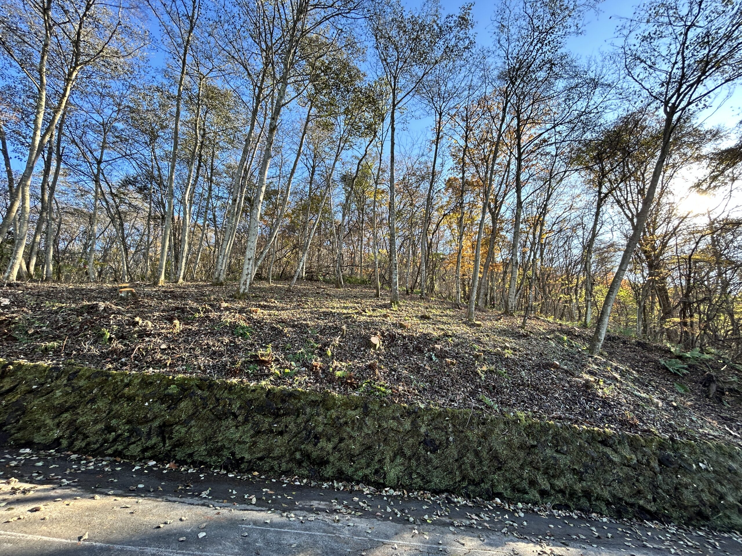 中軽井沢　浅間を望む208坪の土地