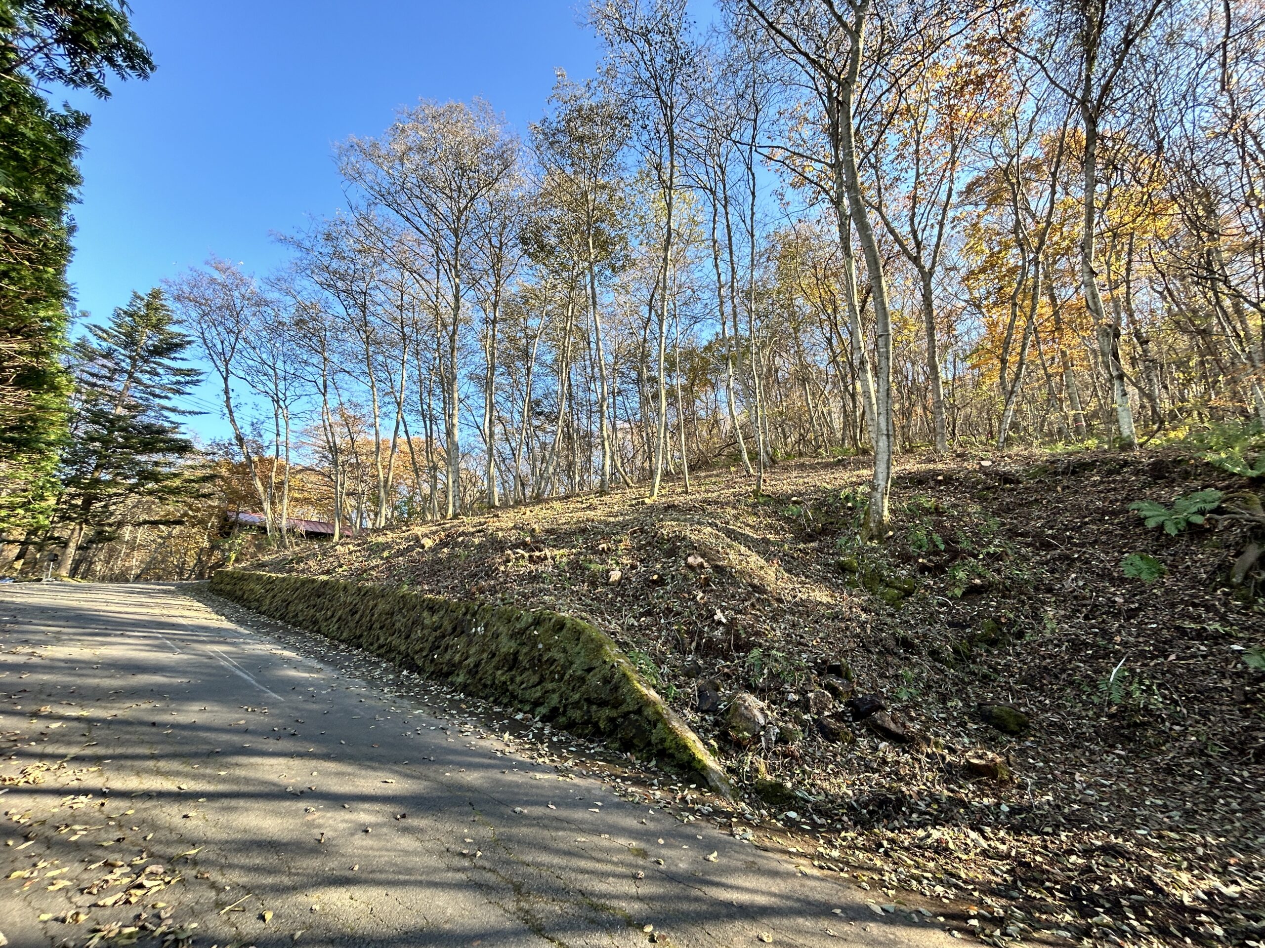 中軽井沢　浅間を望む208坪の土地
