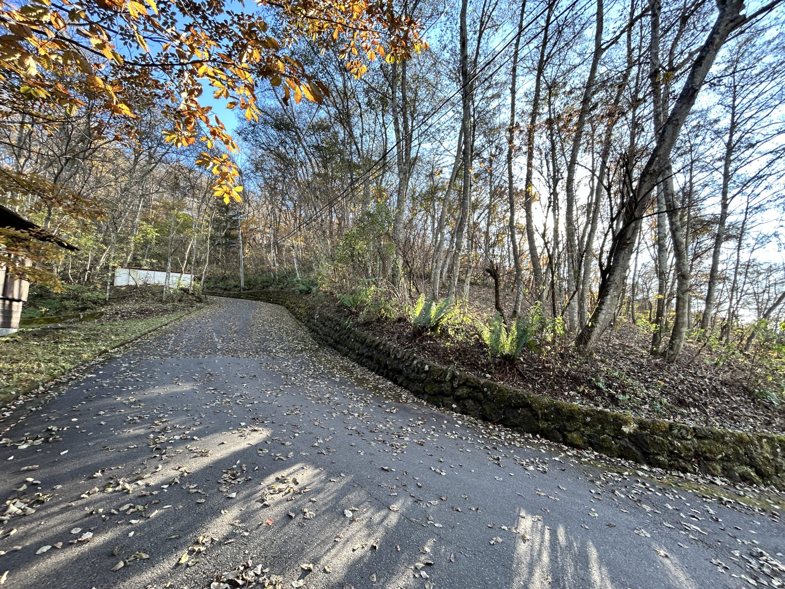 中軽井沢　浅間を望む208坪の土地