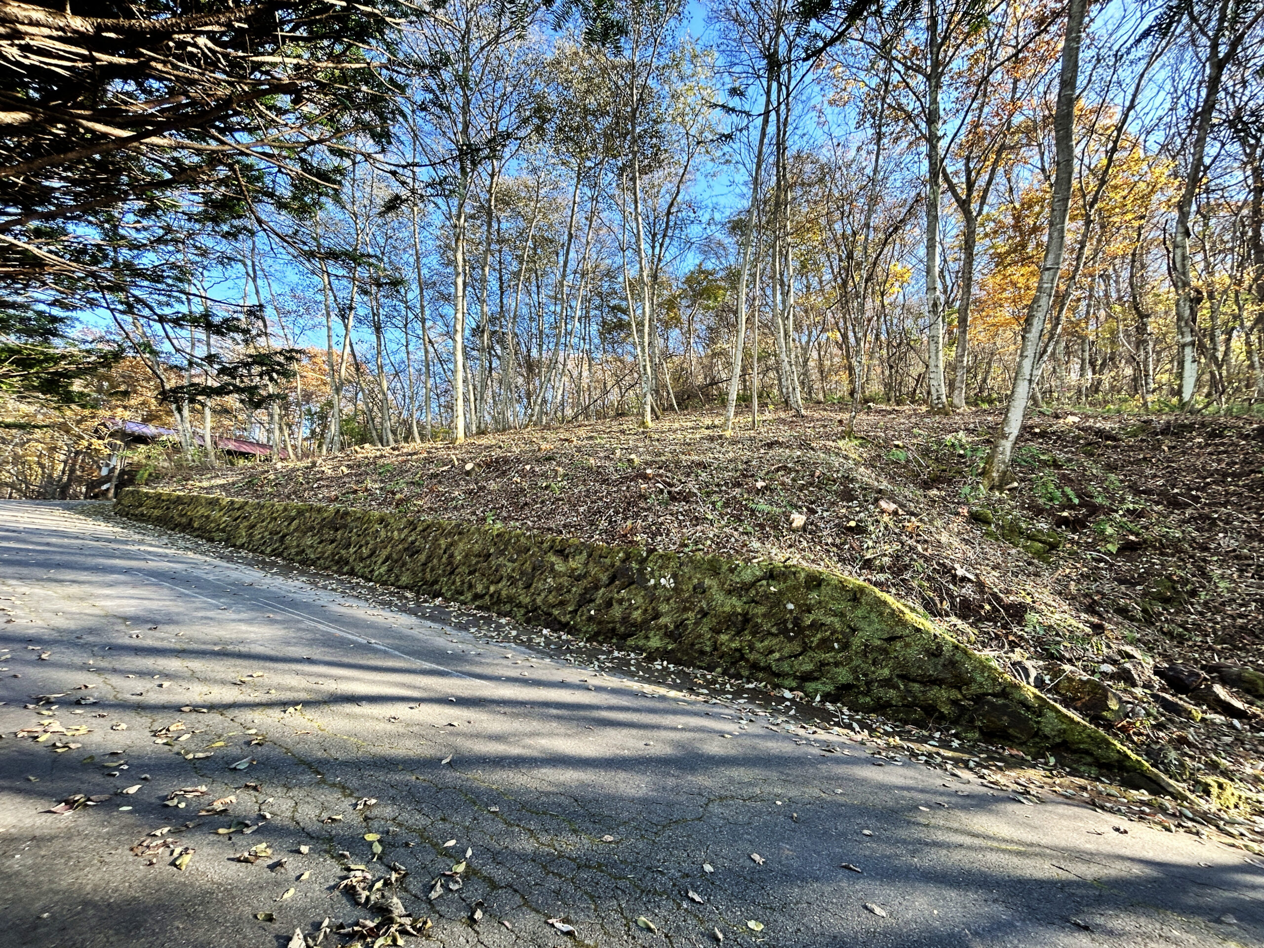 中軽井沢　浅間を望む208坪の土地