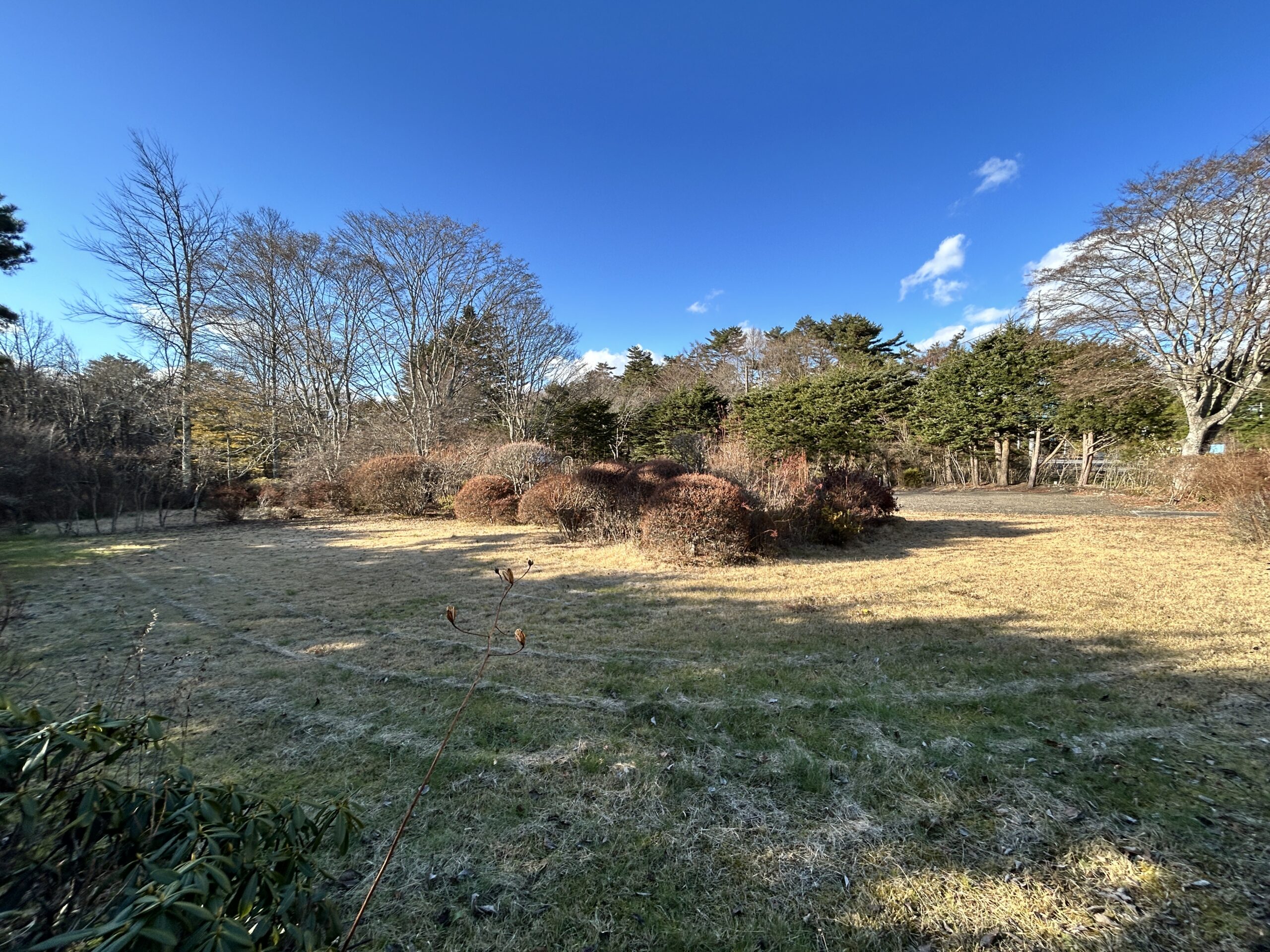【商談中】プリンス通り沿い　401坪の北東角地