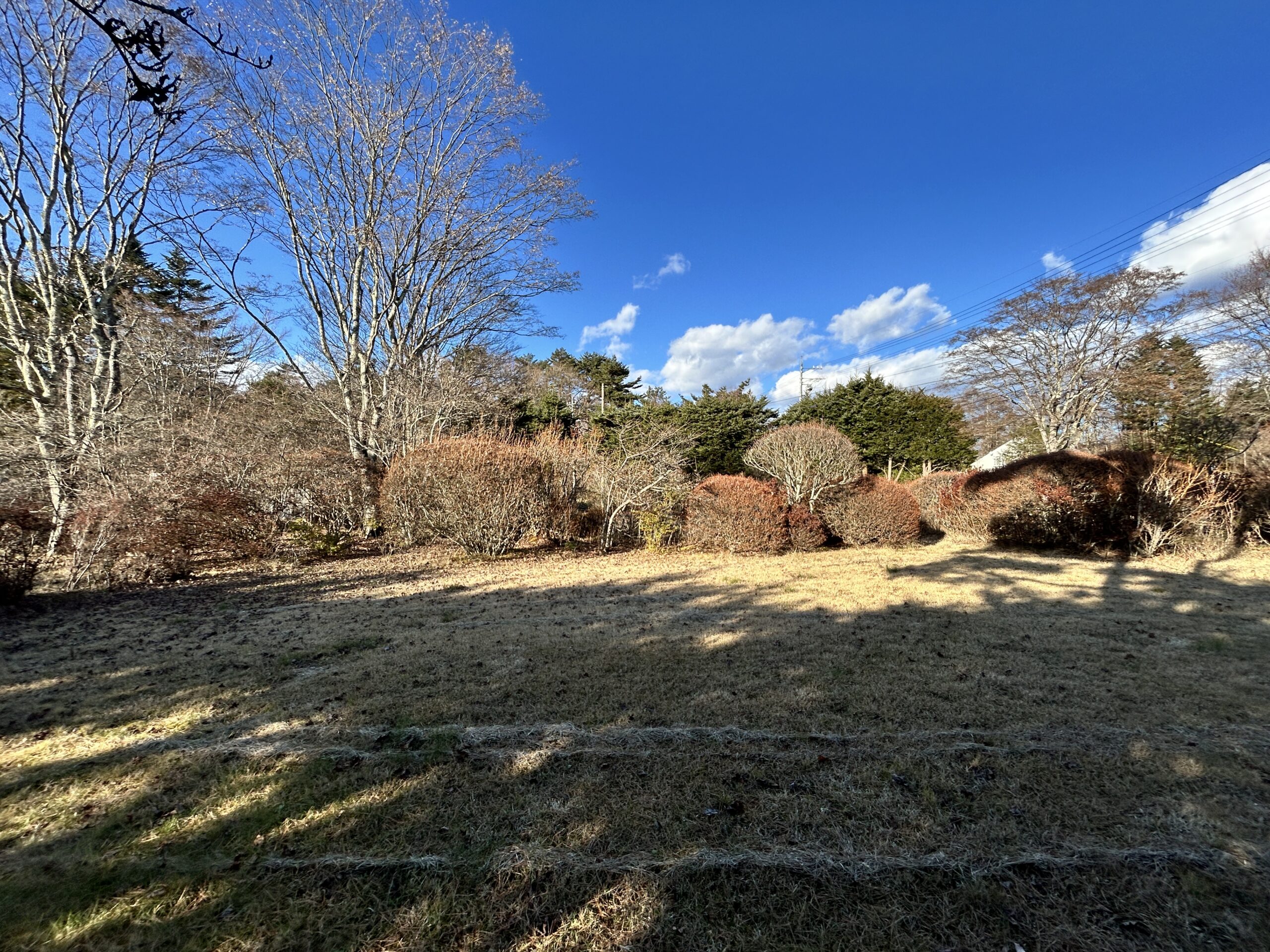 【商談中】プリンス通り沿い　401坪の北東角地