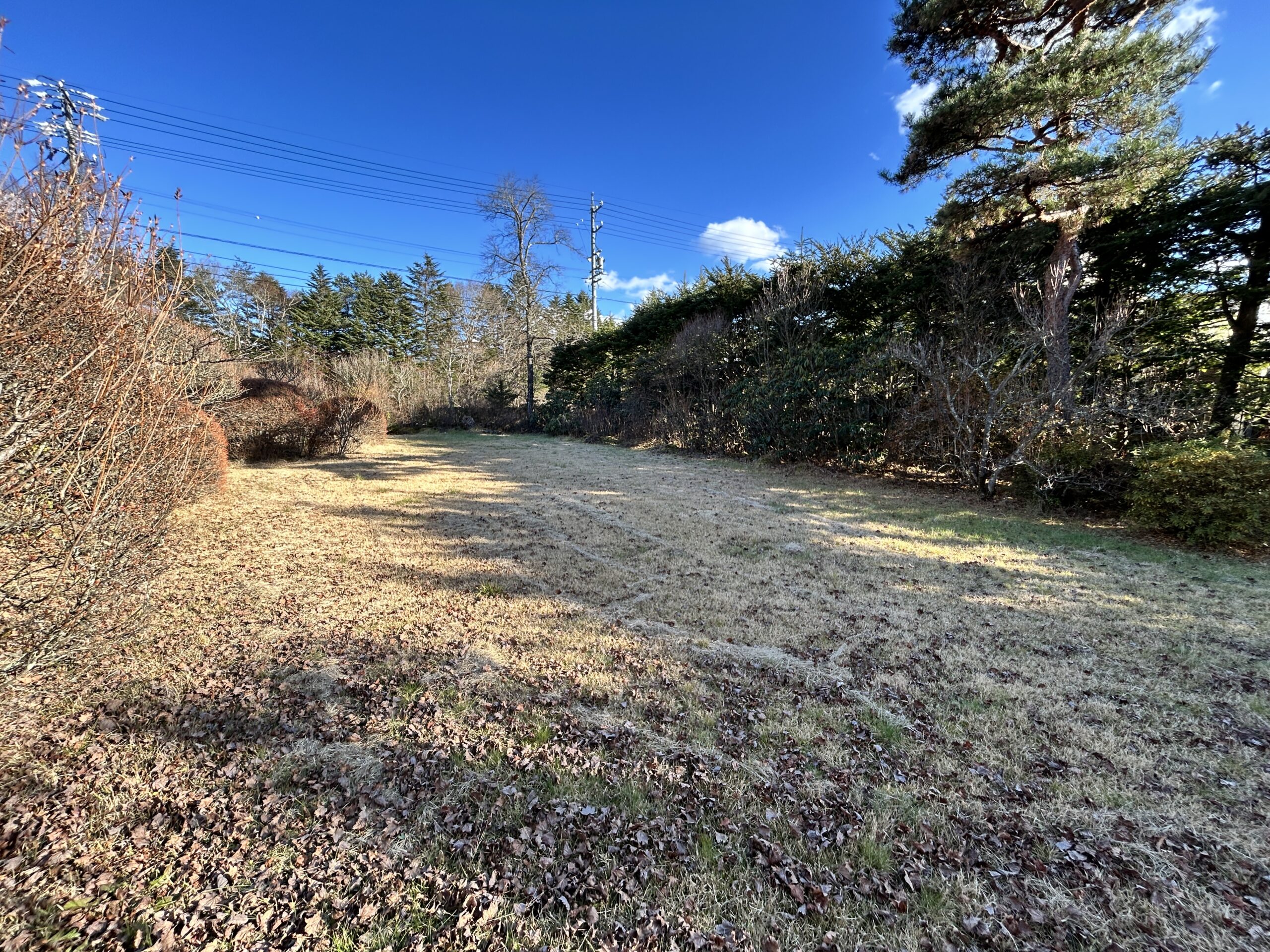 【商談中】プリンス通り沿い　401坪の北東角地